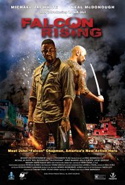 Falcon Rising