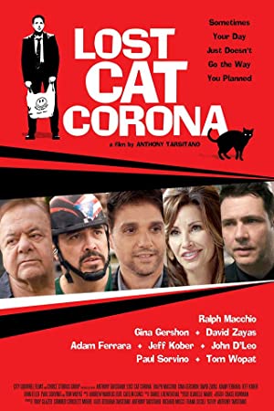 Lost Cat Corona