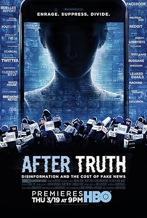 After Truth: Disinformation and the Cost of Fake News