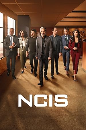 NCIS : Naval Criminal Investigative Service